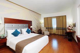 Hotel Abu Palace 3*